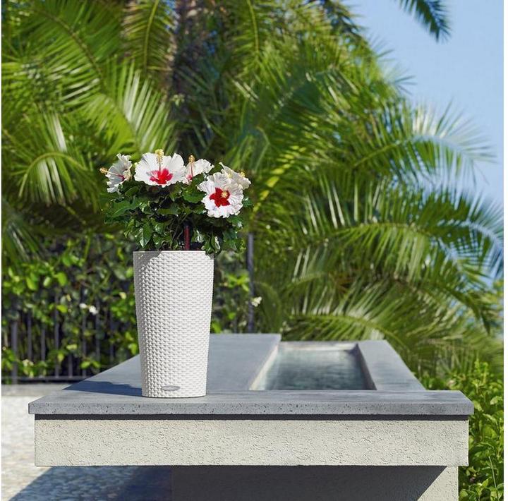 Produktbild Lechuza Cilindro Cottage 23