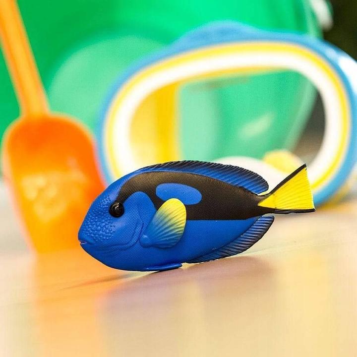 Produktbild Safari Paletten-Doktorfisch