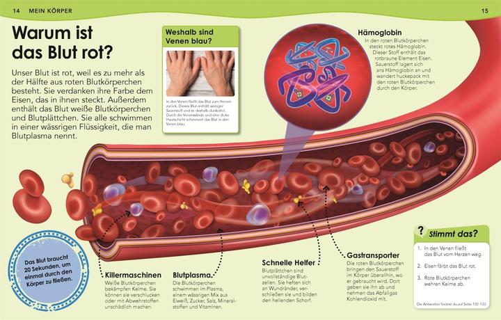 Actual product image Weshalb? Deshalb! Körper (German, Emily Dodd, 2021)