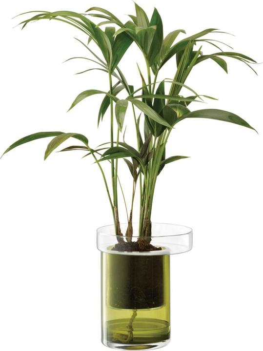 Image du produit LSA Pot à plantes Balcony auto-irrigant H27 Ø22 cm clair/vert olive