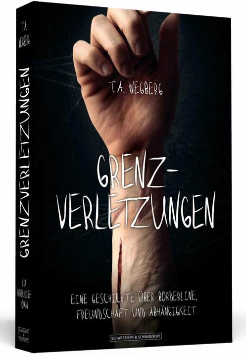 Produktbild Grenzverletzungen (Deutsch, T. A. Wegberg, 2015)