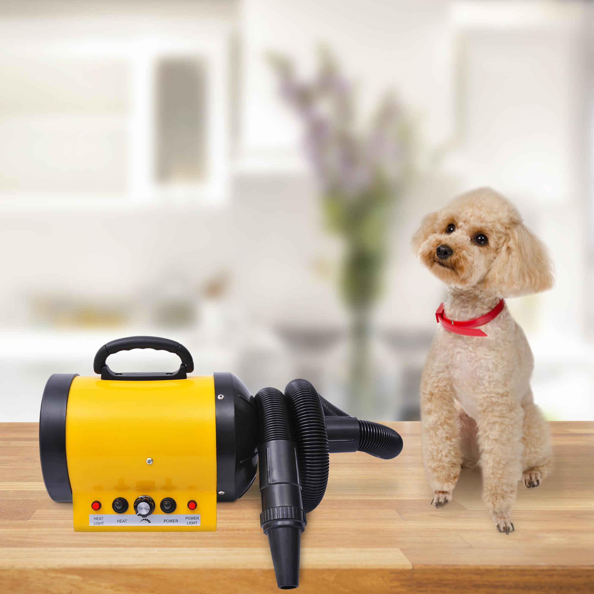 Produktbild von Hundeföhn, Tragbarer Fön Für Hunde Und Katzen, Einstellbare