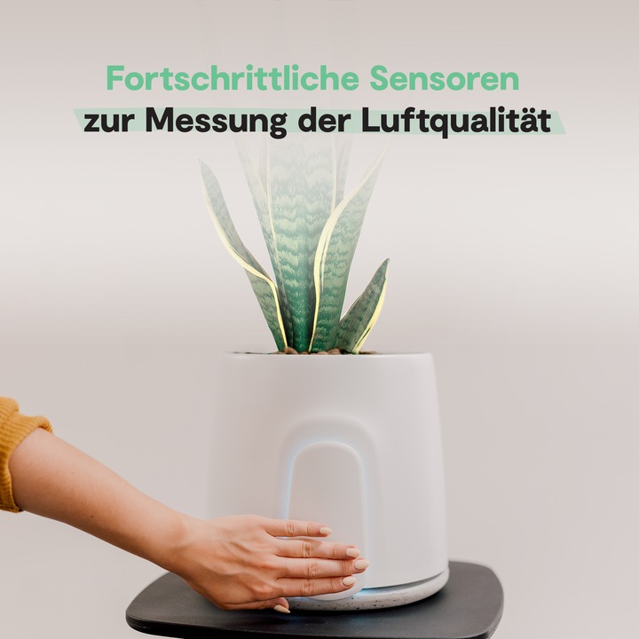 Actual product image Vitesy Natede Smart (20 m²)