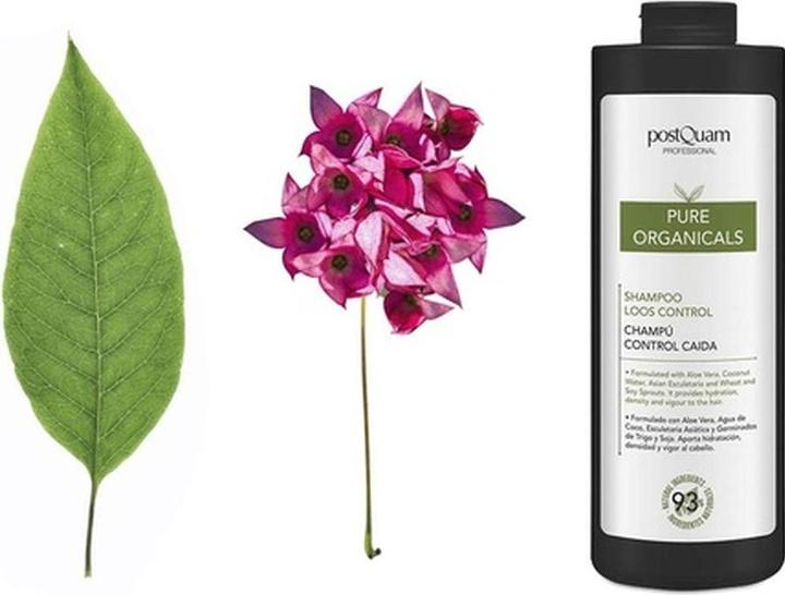 Actual product image Postquam Champu Anticaida Organicals 1000 Ml (1000 ml, Liquid shampoo)