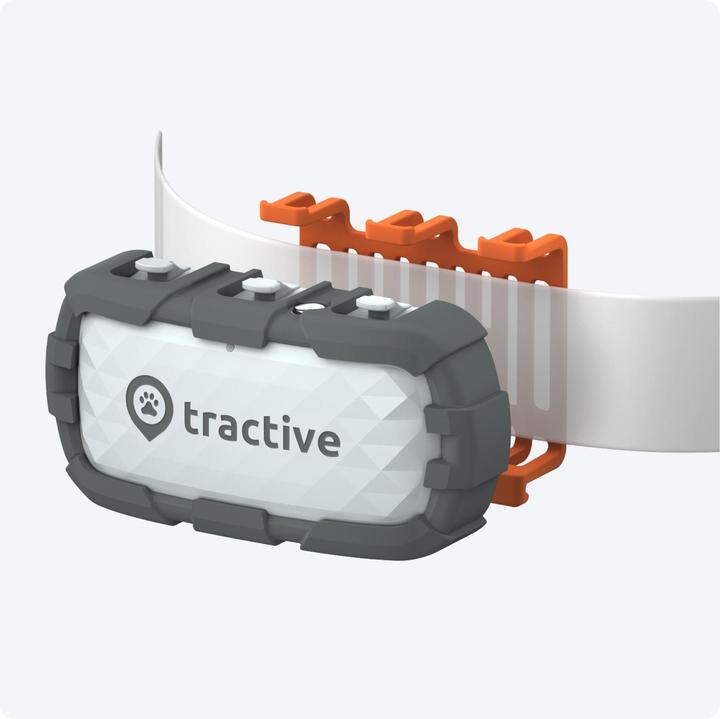 Produktbild Tractive GPS Dog (XL, Hund, Spazieren, Jogging, Hundesport)