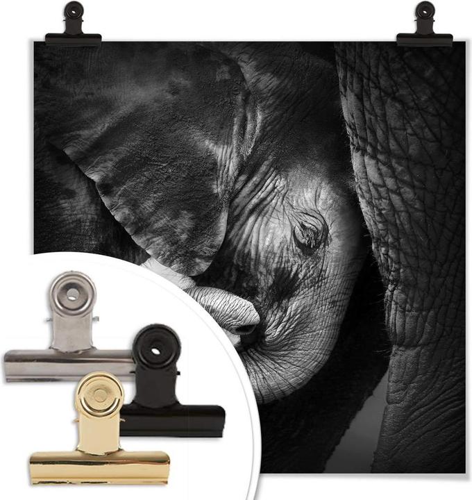 Image du produit Trenddeko Le bébé éléphant (40 x 40 cm)