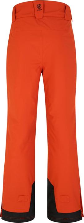 Actual product image Dare2b Mens Baseplate Contrast Detail Ski Trousers (L)