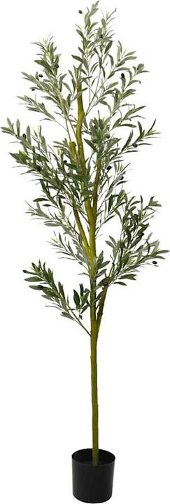 Immagine prodotto vidaXL künstlicher Olivenbaum (200 cm)