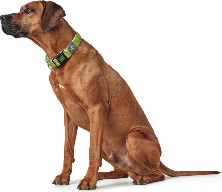 Immagine prodotto Hunter Collare per cani Hilo Vario Plus (XL, Cane, Sport cane)