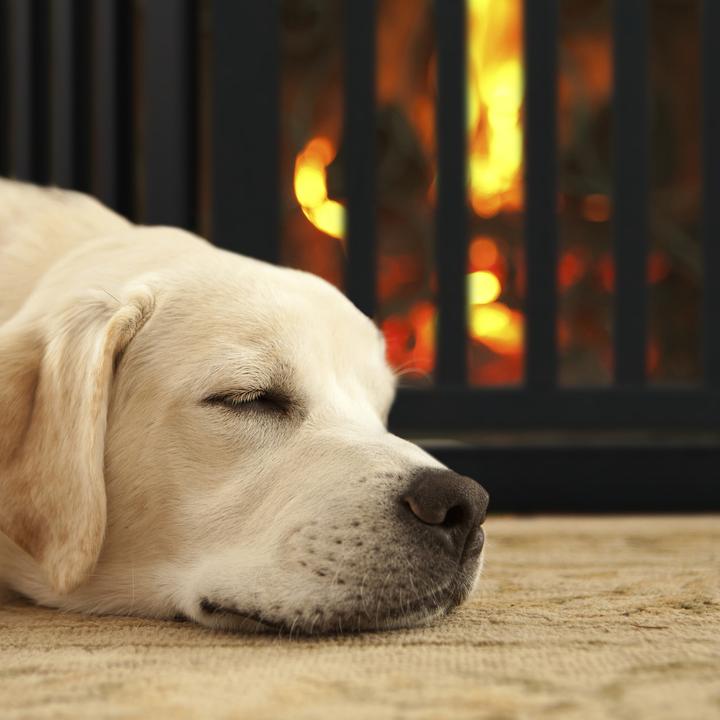 Actual product image Relaxdays Safety gate