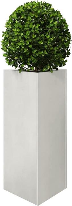 Produktbild vidaXL Pflanzkübel