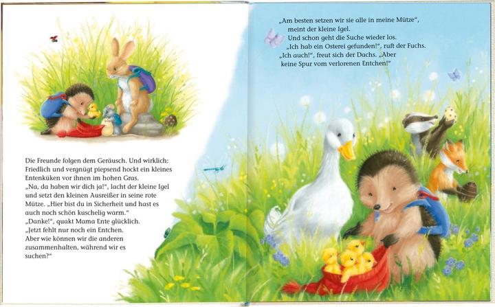 Produktbild Brunnen Der kleine Igel und das verlorene Entchen (Deutsch, M Christina Butler, 2018)