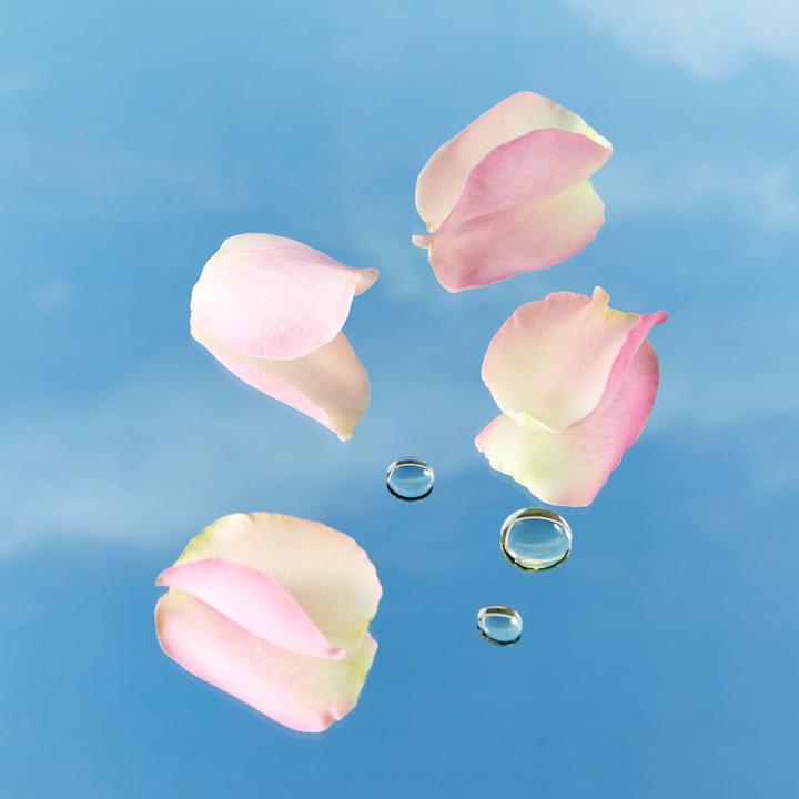 Produktbild NIVEA Body Lotion Rosenblüte DUO (Körperlotion, 800 ml)