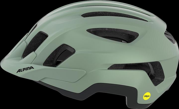 Productafbeelding Alpina Paranus Mips (55 - 59 cm)