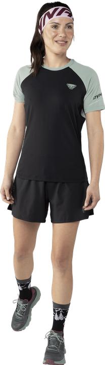 Produktbild Dynafit Alpine Pro T-Shirt (42)