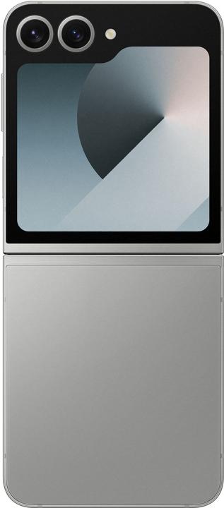 Actual product image Samsung Galaxy Z Flip6 Enterprise Edition (256 GB, Silver Shadow, 6.70", SIM + eSIM, 5G)