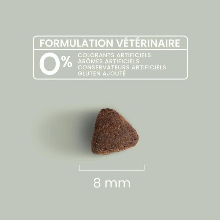 Produktbild Ultra Premium Direct Active or Outdoor Adult Cat (Adult, 7000 g)