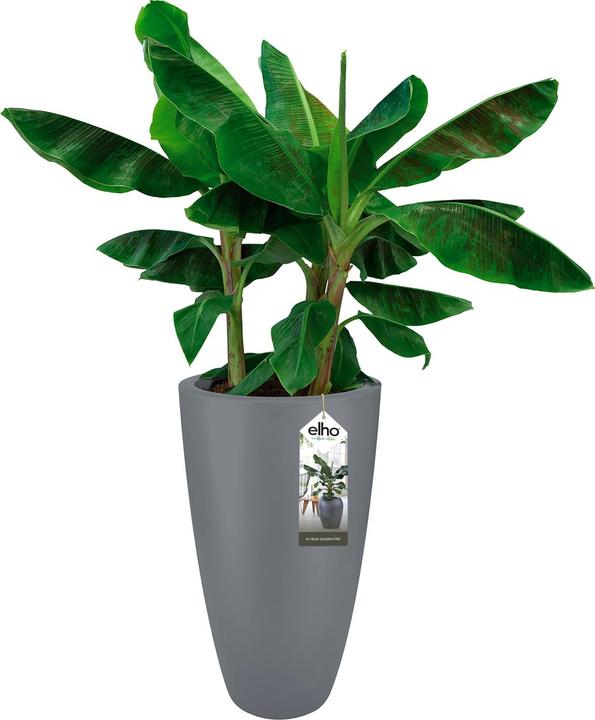 Produktbild Elho Pure Soft (39 cm)