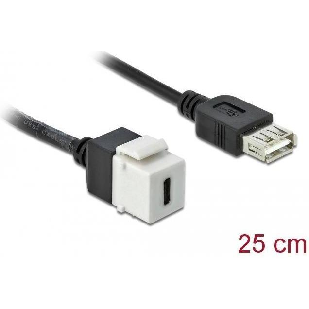 Delock Keystone module (0.25 m, USB 2.0), USB Kabel