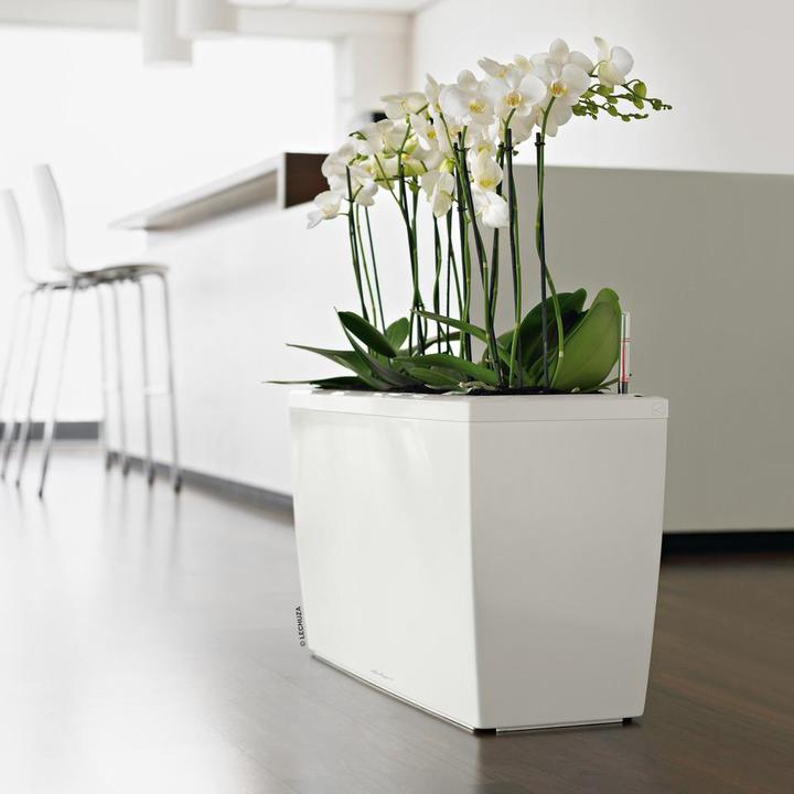 Produktbild Lechuza Cararo (30 cm)