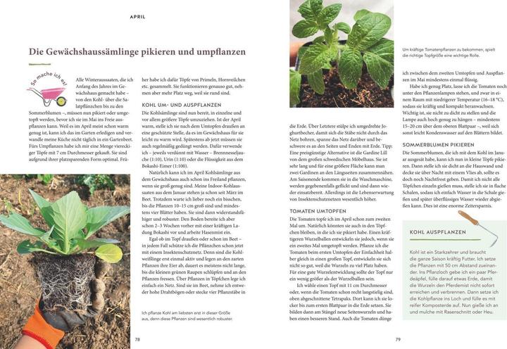 Actual product image 12 Monate Gemüse ernten (German, 2022)