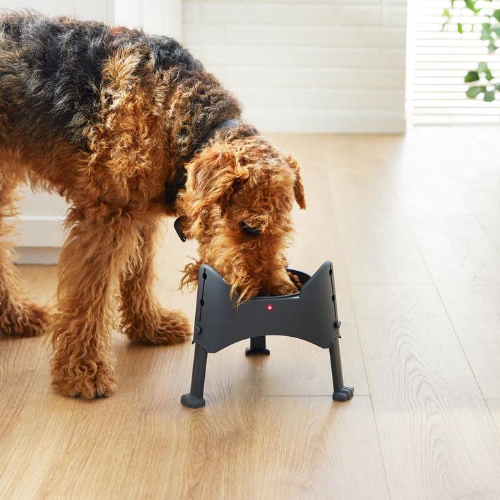 Immagine prodotto Rotho Ciotola per alimenti regolabile Sammy (102 cl)