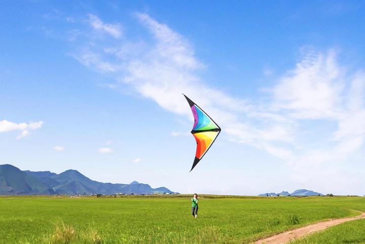 Actual product image Invento Cerf-volant Stinger Rainbow