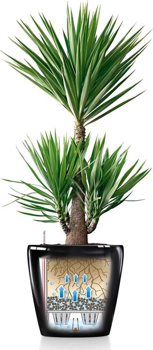 Produktbild Lechuza CLASSICO Premium 60 metallic (57 x 55.50 cm)