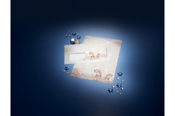 Actual product image Sigel W'envelope Brill.Deer C6/5 F.l (1x)