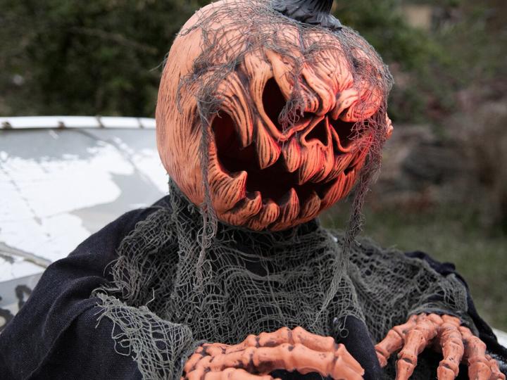 Actual product image Europalms Halloween pumpkin monster (1 Piece)