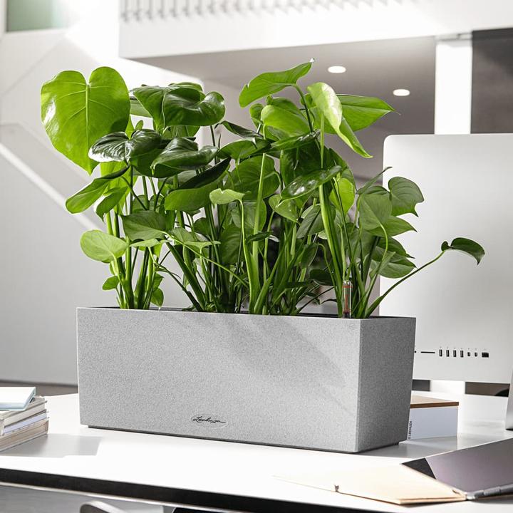 Actual product image Lechuza Balconera Stone (19 cm)