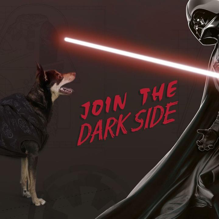 Produktbild Star Wars Hundepulli XXS Schwarz (XXS, Hundepullover)
