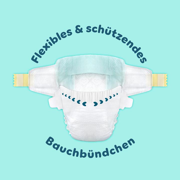 Actual product image Pampers Premium Schutz (Monthly box, 186 pcs.)