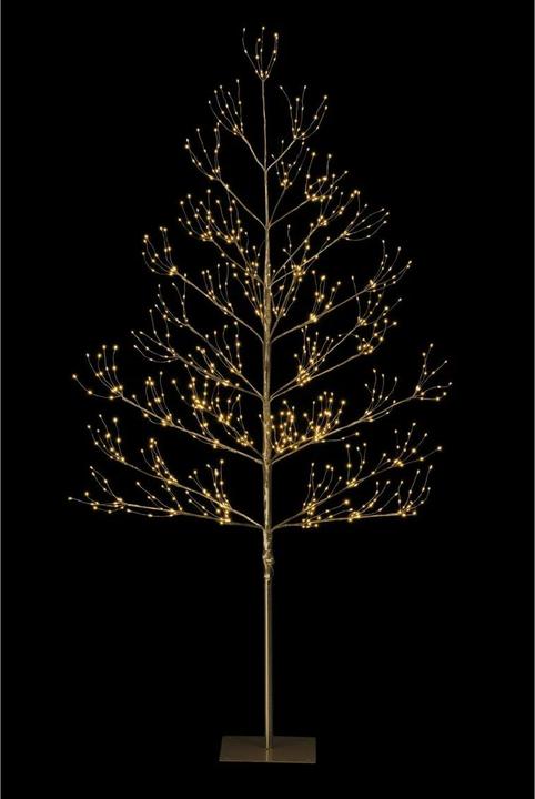 Produktbild STT Champagne Baum