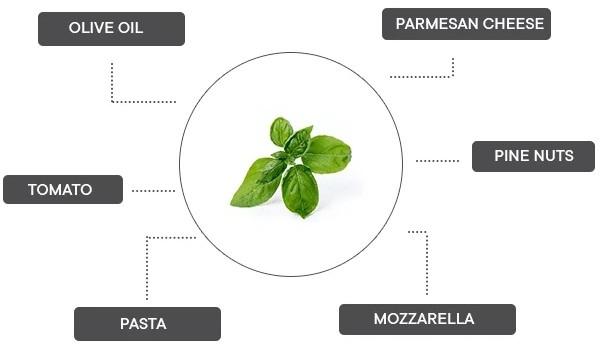 Immagine prodotto Véritable Bio-Basilikum (Semi di erbe)
