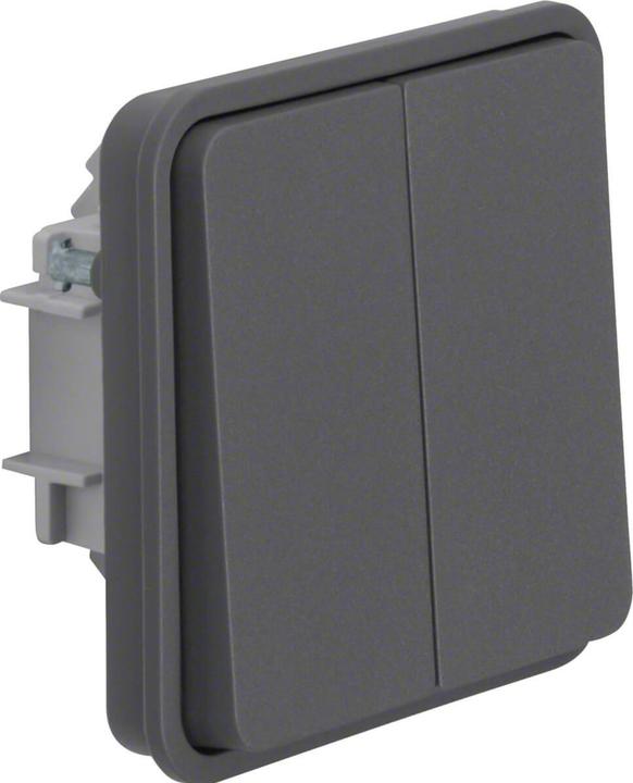 Actual product image Berker 30553515. control: knobs, product colour: grey, rated current: 10 A
