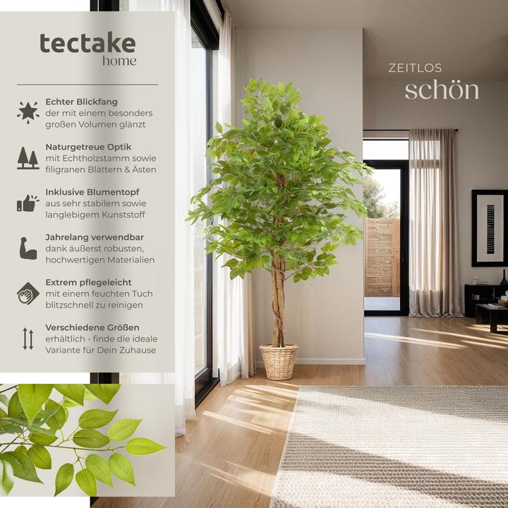 Image du produit tectake Ficus Fida (160 cm)