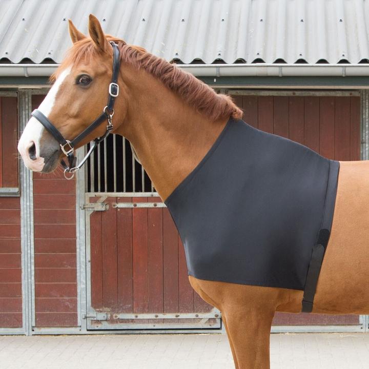 Produktbild Harry's Horse Elastischer Pferdeschulterschutz