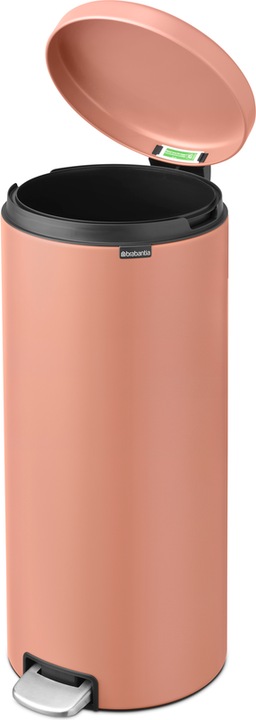 Image du produit Brabantia newIcon (30 l)