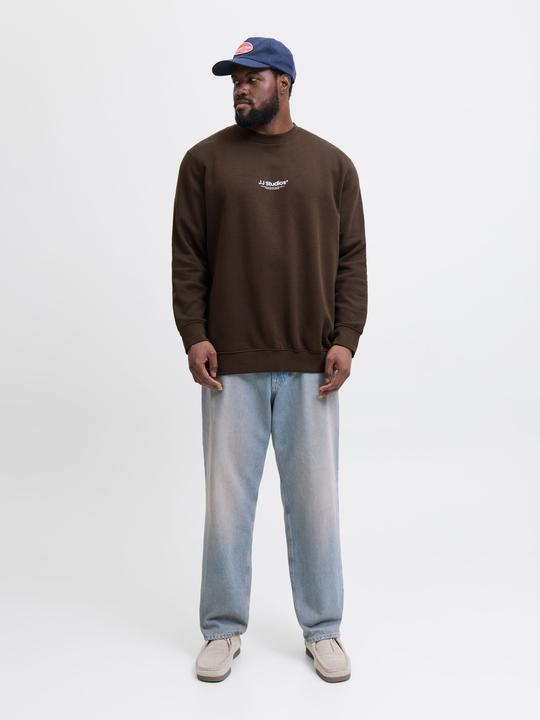 Actual product image Jack & Jones Plus Size Gedruckt Sweatshirt Sweatshirt (6XL)
