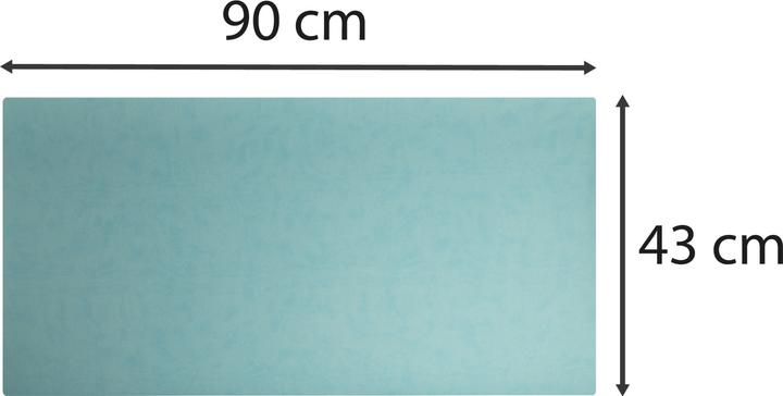 Actual product image Exacompta Desk pad