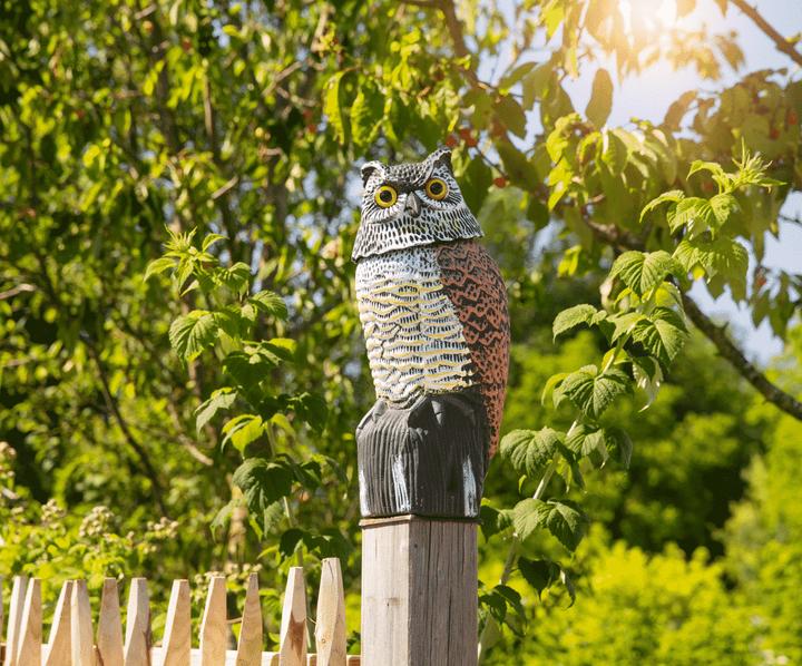 Produktbild Windhager Vogel Abwehr Eule