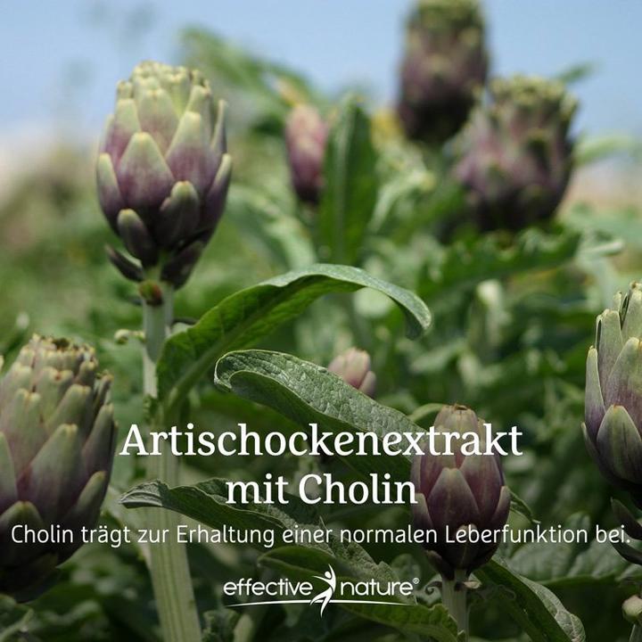 Actual product image Effective Nature Artichoke extract with choline (90 Piece, Capsules, 90 g)