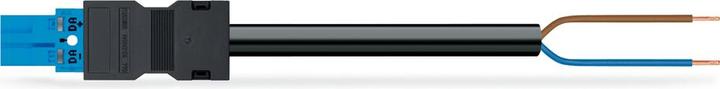 Actual product image Wago confect. Connection cable (2 m)