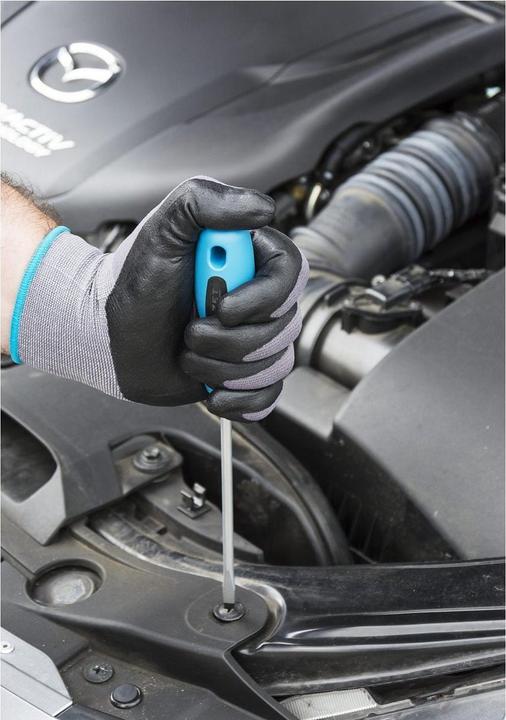 Produktbild HAZET Schraubendreher Satz 810/6 ∙ Kreuzschlitz Profil PH, Schlitz Profil ∙ 0,5 x 3 ∙ 0,8 x 4 ∙ 1 x… (Phillipps-Kreuzschlitz (PH), Schlitz)