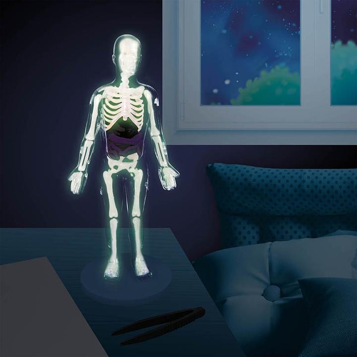 Actual product image Buki The human body