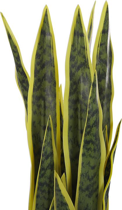 Immagine prodotto Beliani Snake Plant (63 cm)