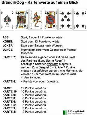 Actual product image Brändi Dog quick guide