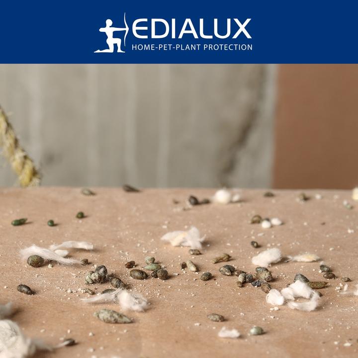 Actual product image Edialux Quicksnap mousetrap, promo pack 4+2 pieces