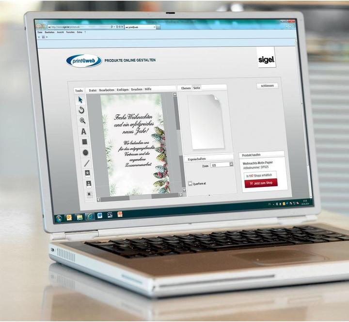 Immagine prodotto Sigel W'Design carta Christm.Garl.A4 (90 g/m², 100 x, A4)